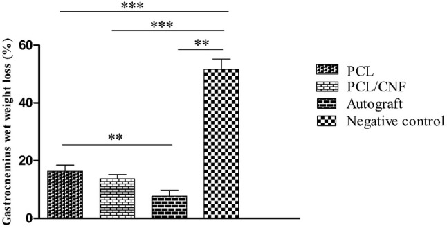 Fig. 7