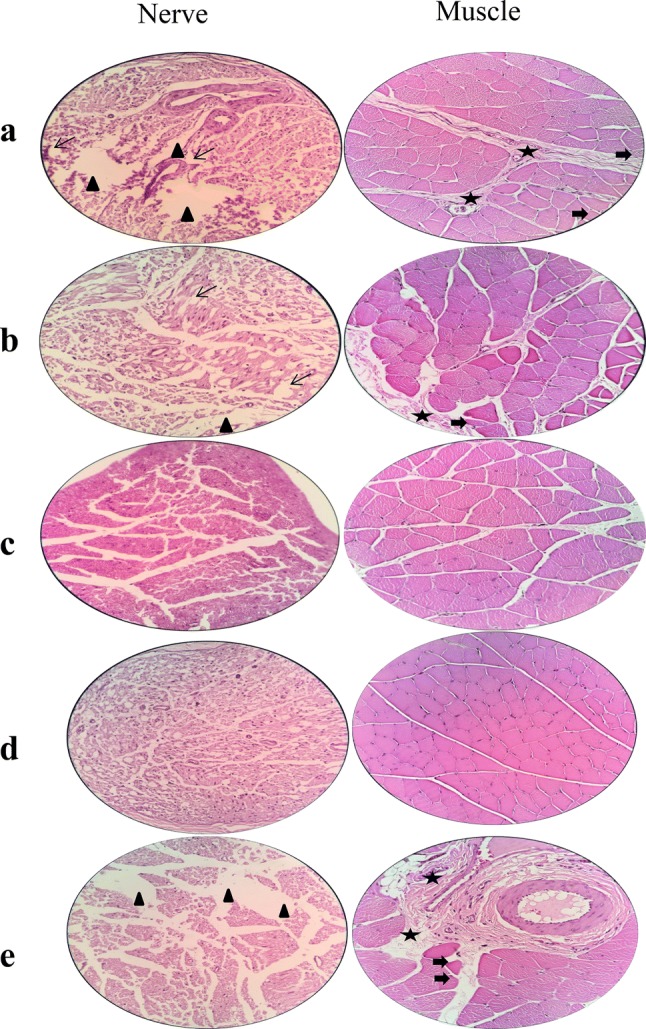 Fig. 8