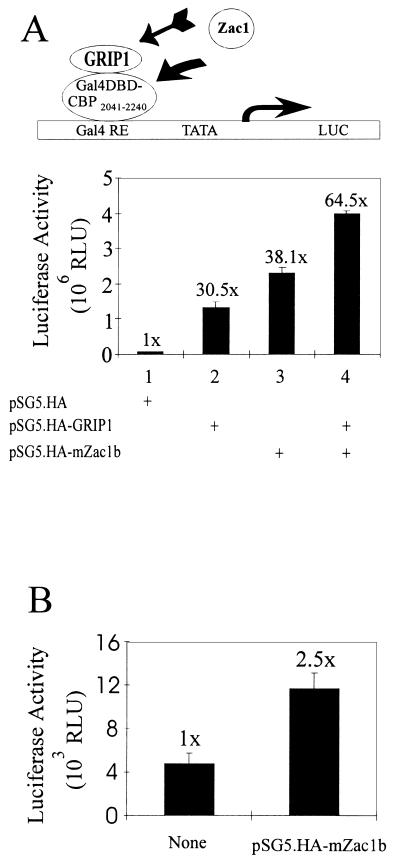 FIG. 10