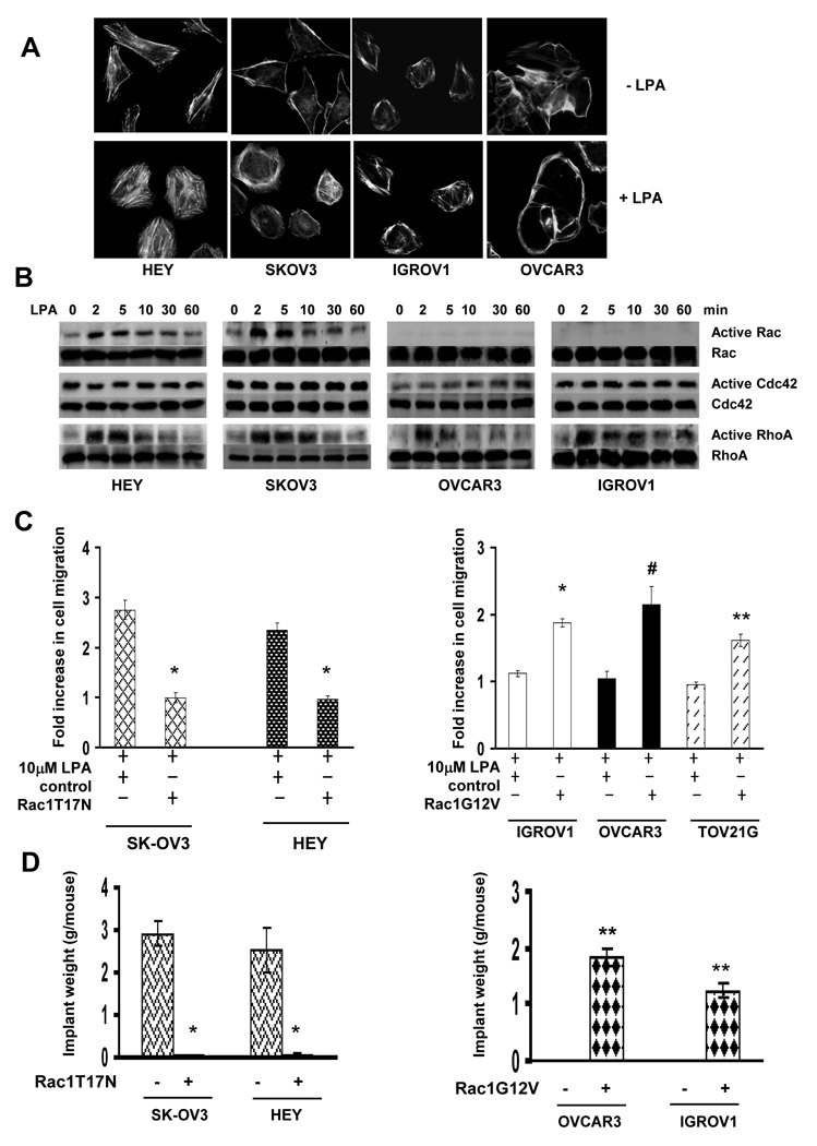 Fig.2