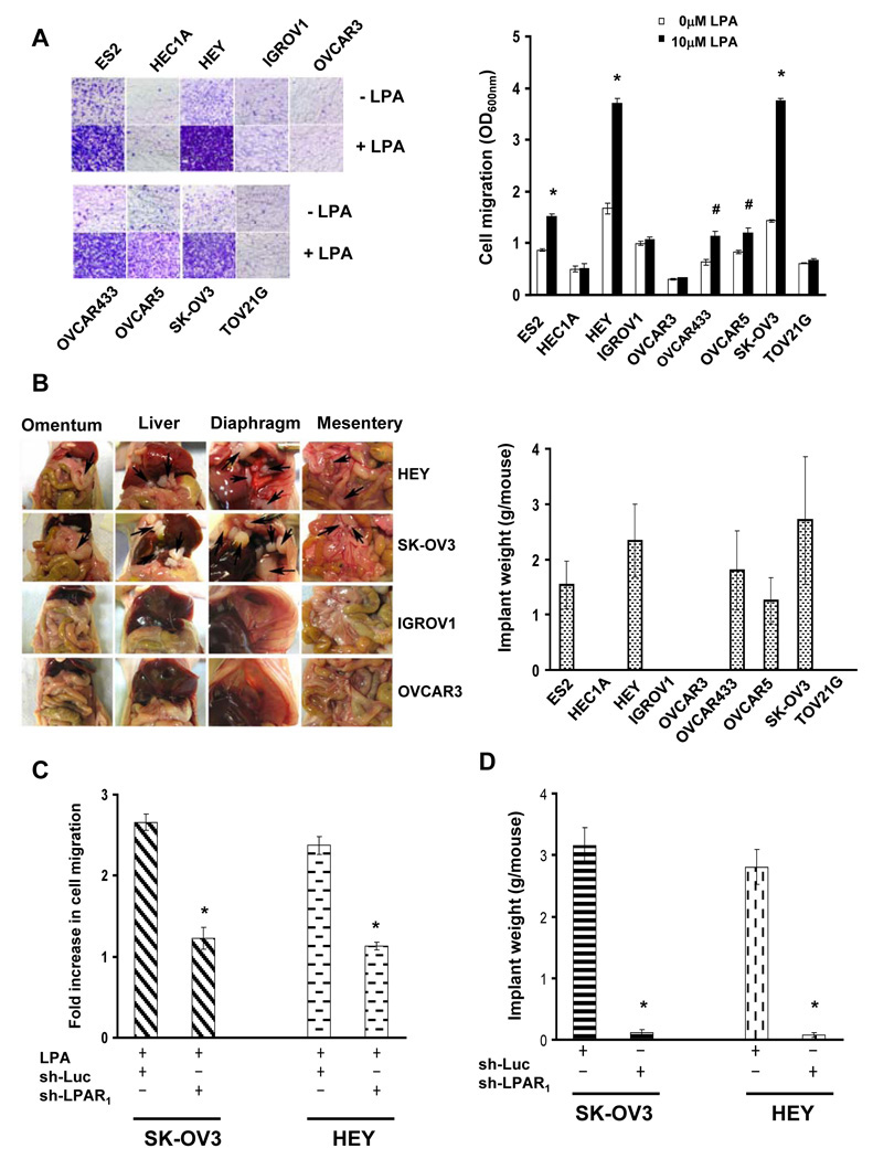 Fig.1