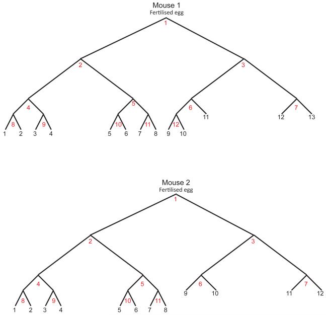 Extended data figure 4