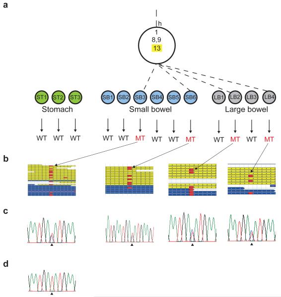 Extended data figure 2