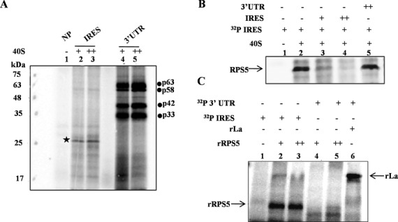 Figure 5.