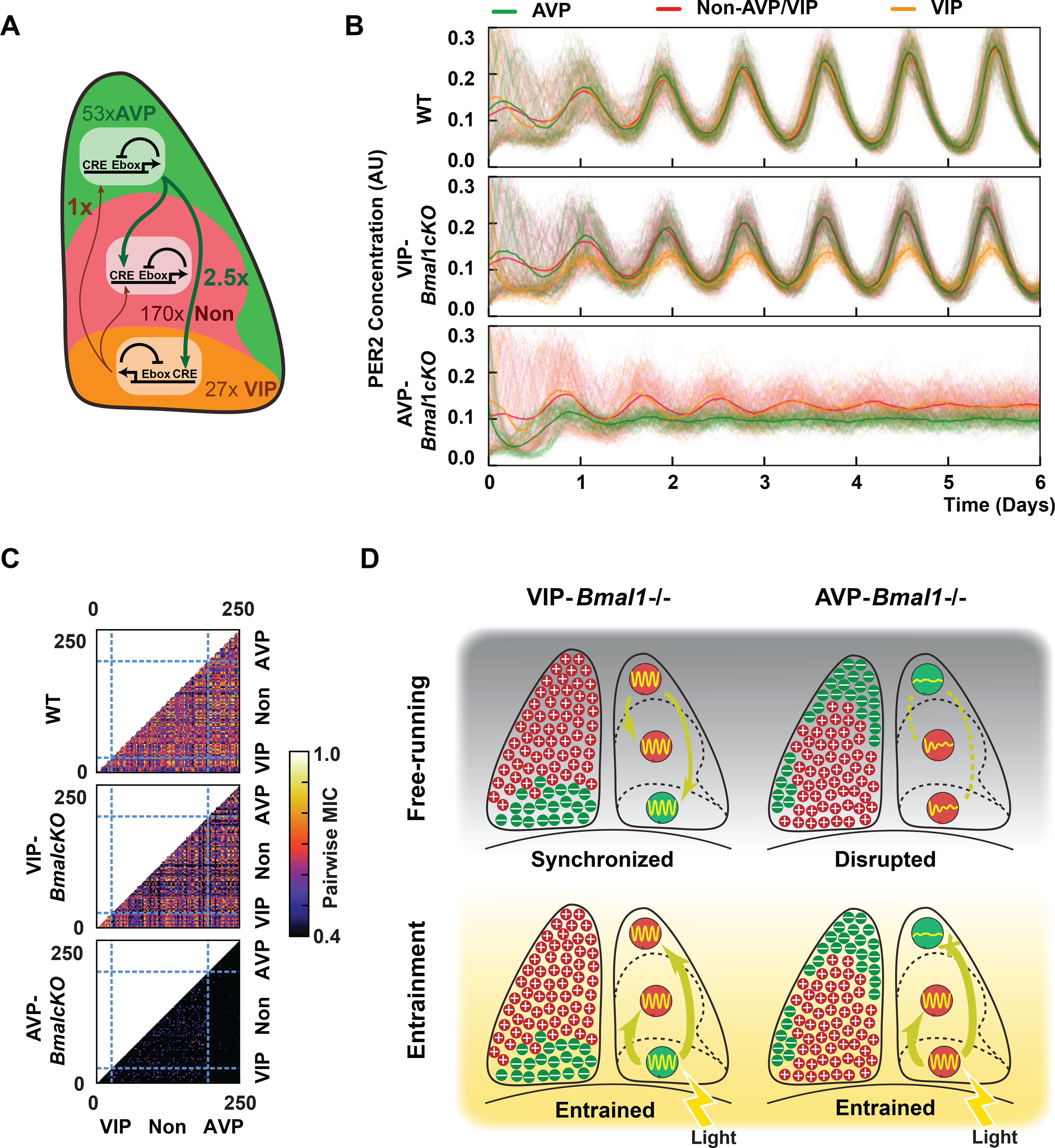 Figure 6: