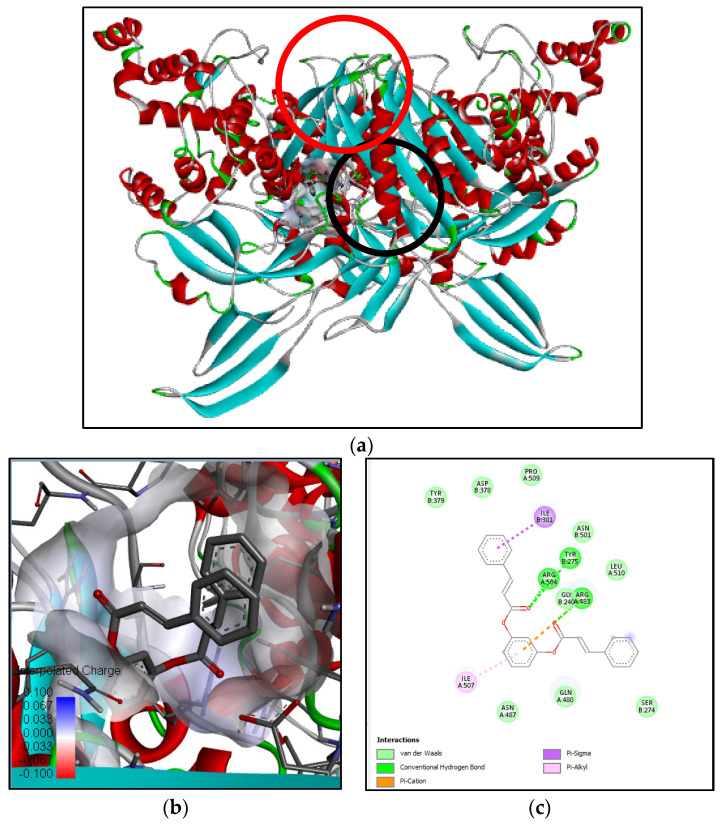 Figure 7