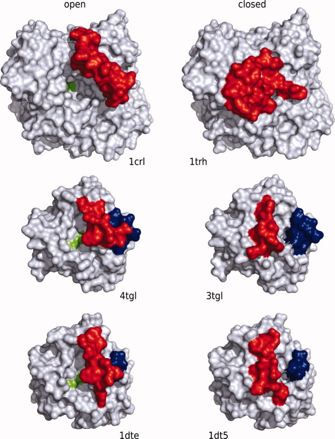 Figure 5