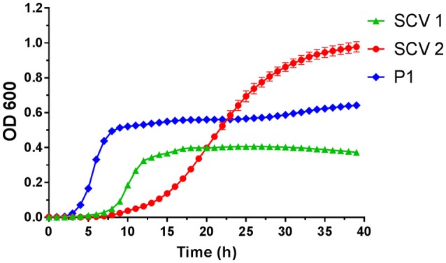 Figure 2