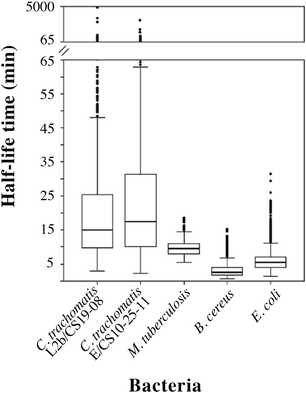 Fig. 4