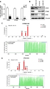 FIG 2