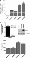 FIG 1