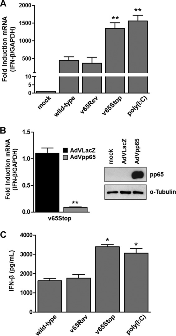 FIG 1