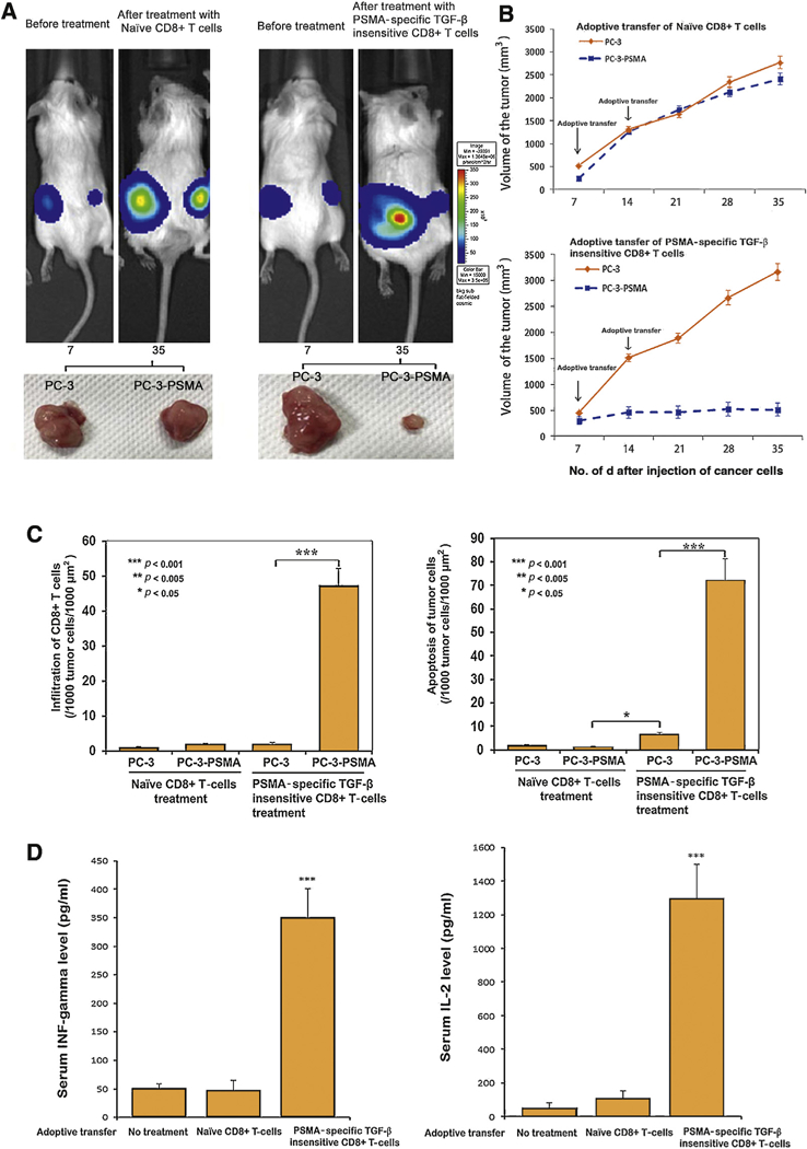 Fig. 2 -