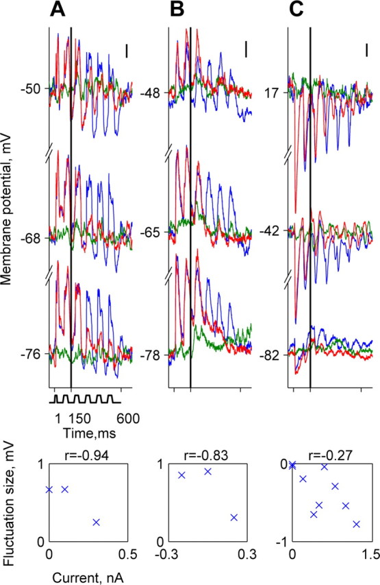 
Figure 7.
