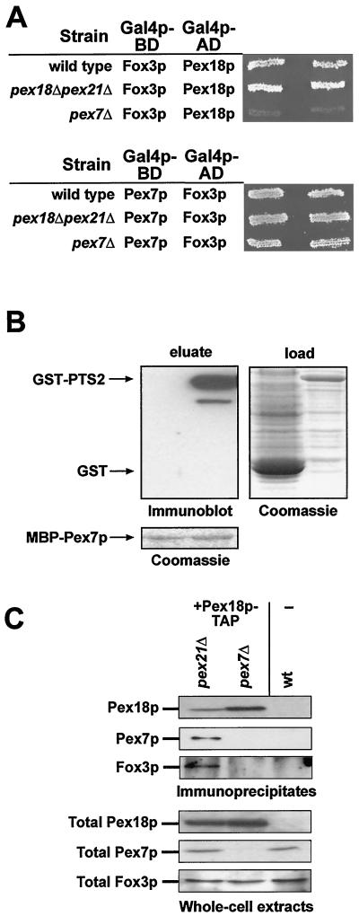 FIG. 9.