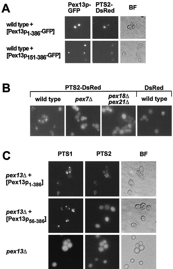 FIG. 8.