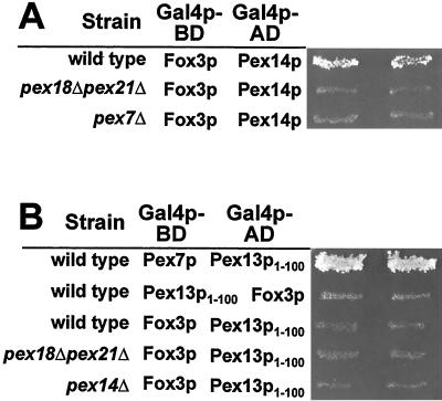 FIG. 10.