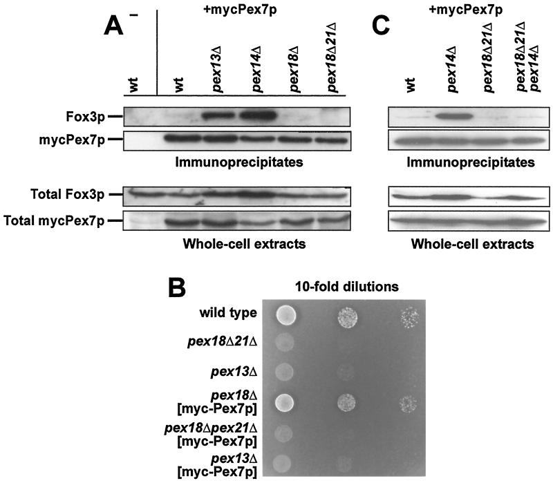 FIG. 11.