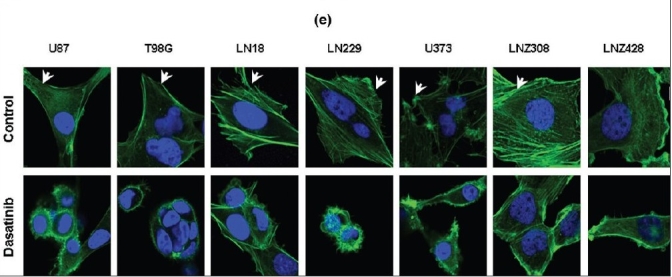 Figure 2e