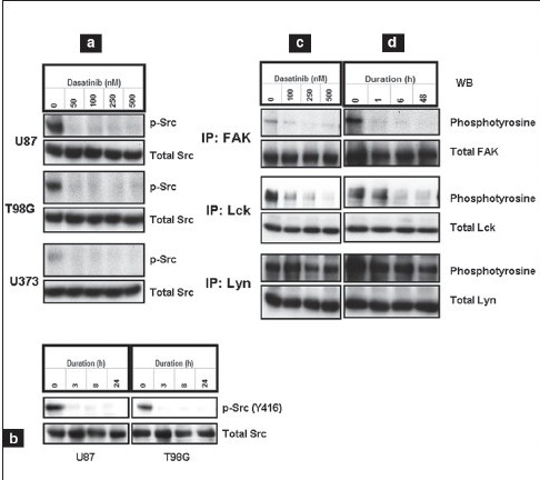 Figure 1a-d