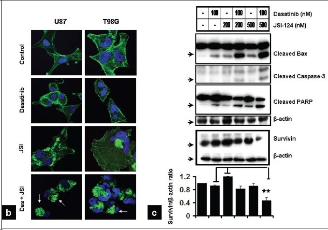 Figure 6b-c