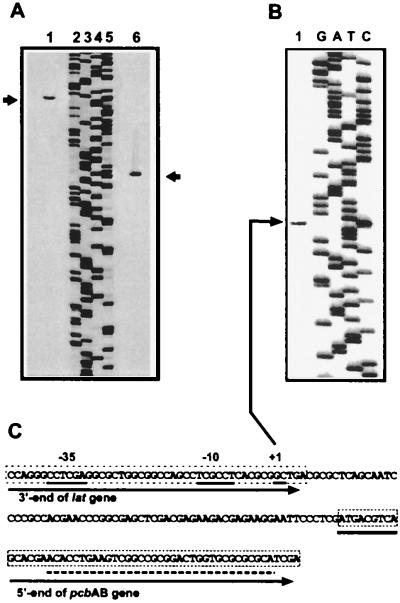 FIG. 3