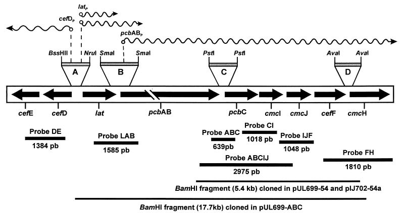 FIG. 1