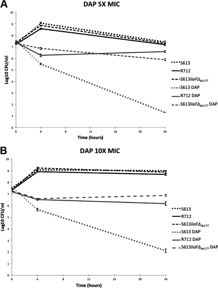 Fig 1