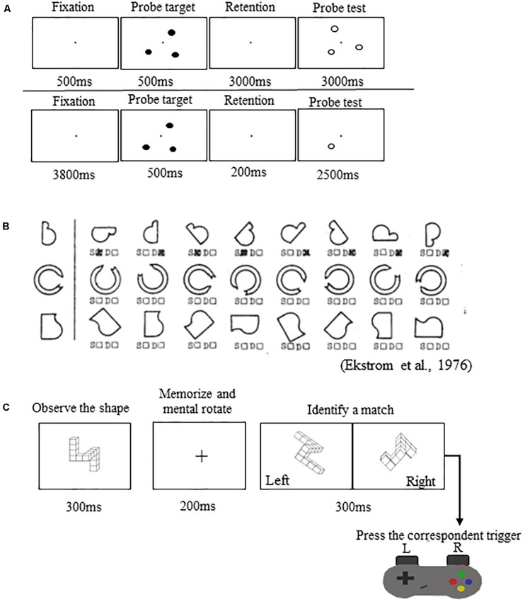 FIGURE 2