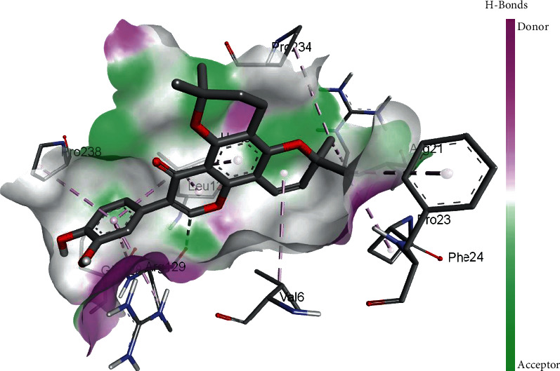 Figure 5