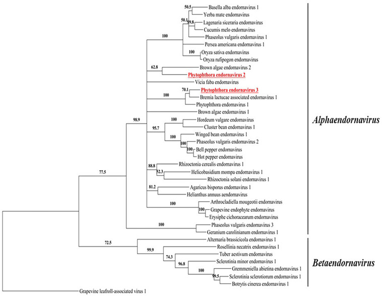 FIGURE 3