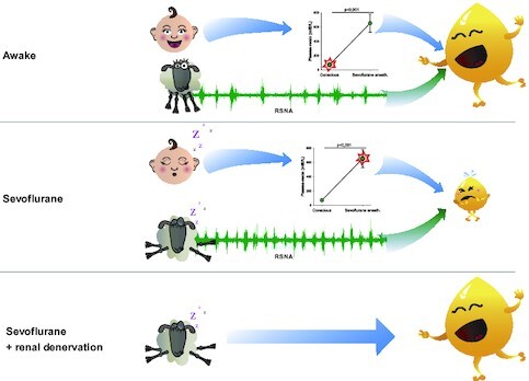 Graphical Abstract