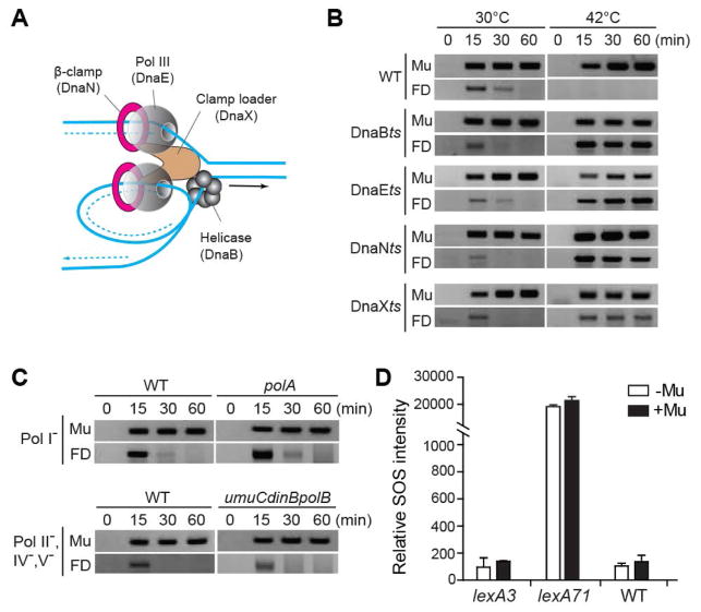 Fig. 2