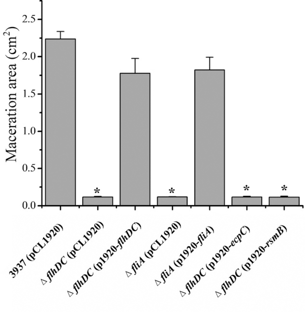 Fig. 9.