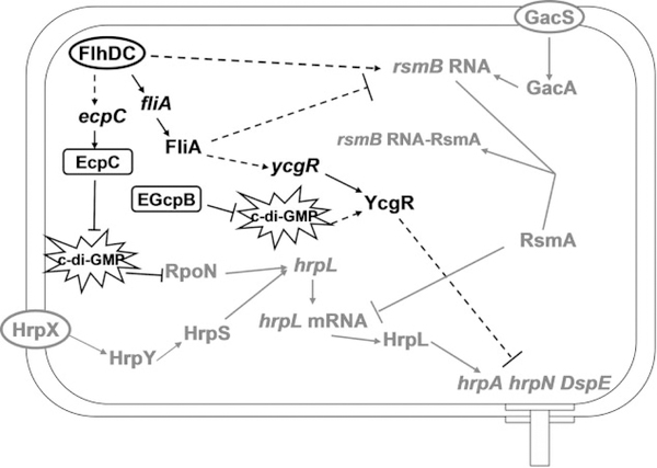 Fig. 10.