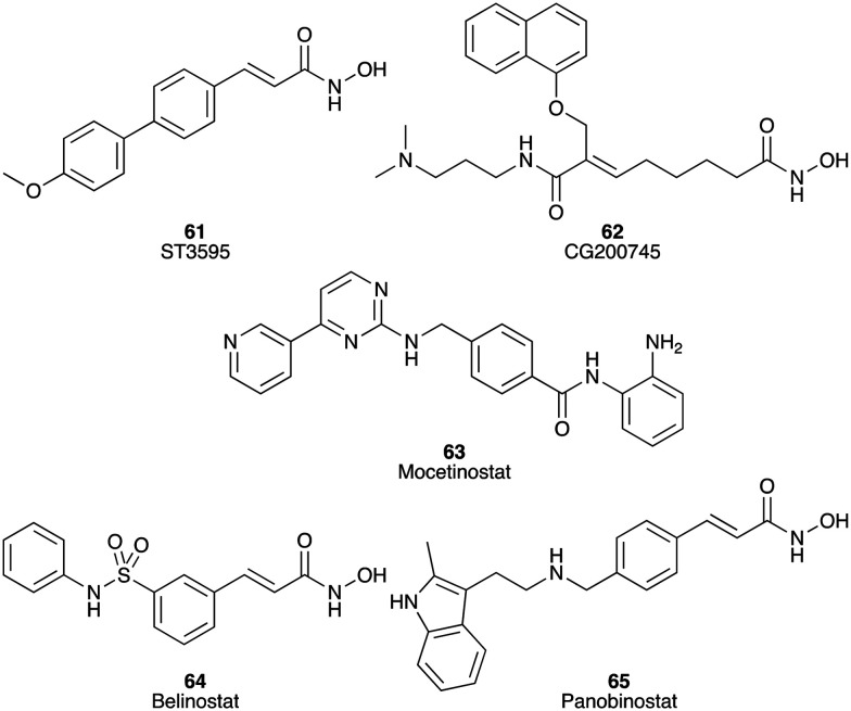 Fig. 10