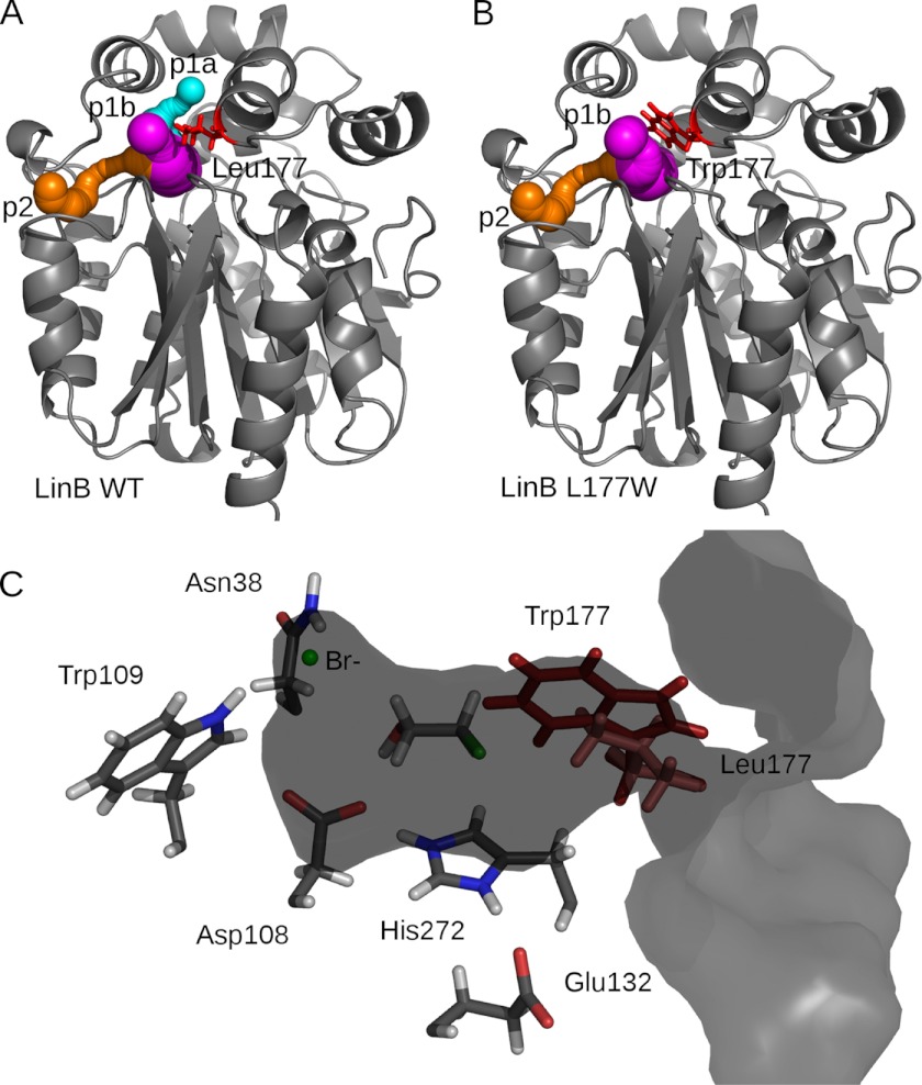 FIGURE 1.