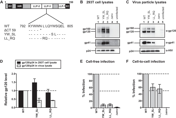 FIG 6