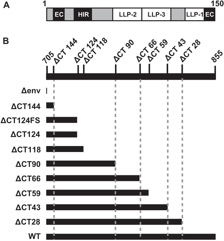 FIG 1