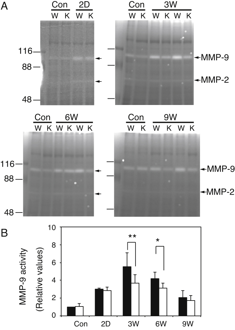 Fig. 8