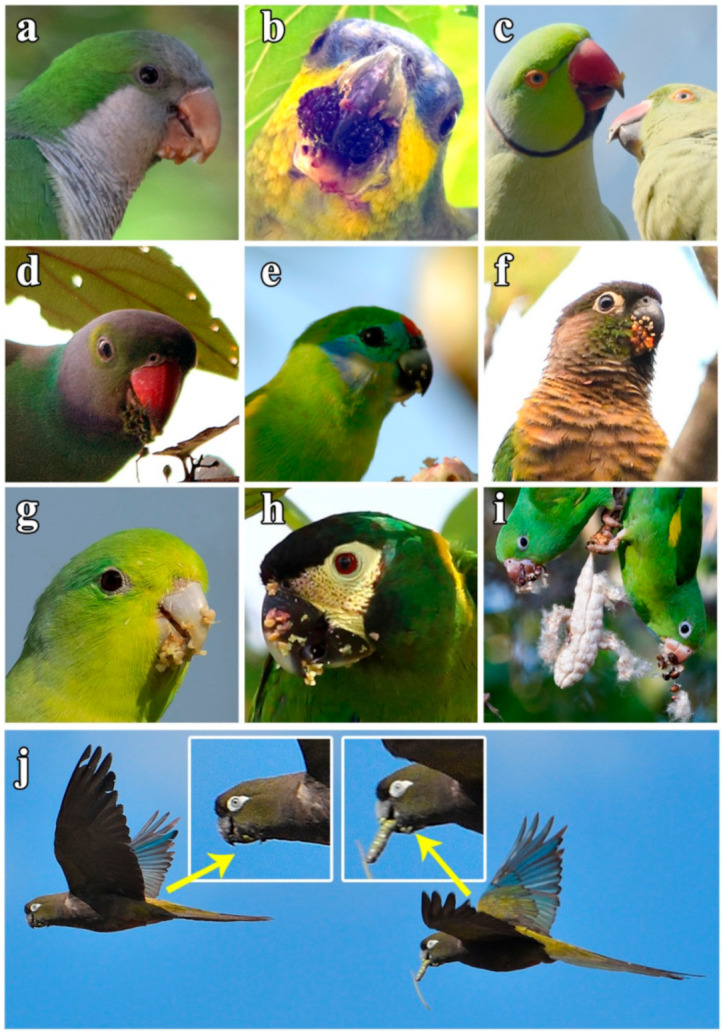 Figure 2