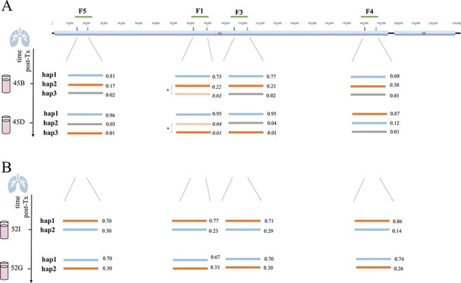 Figure 6.