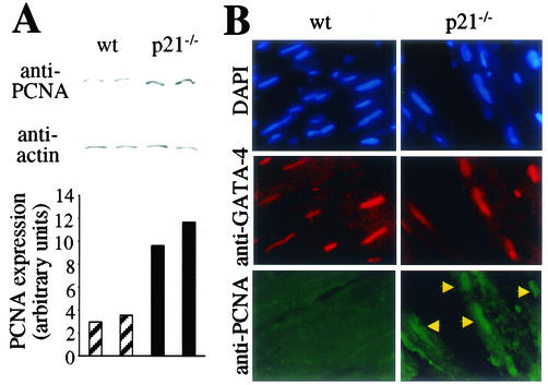 FIG. 9.