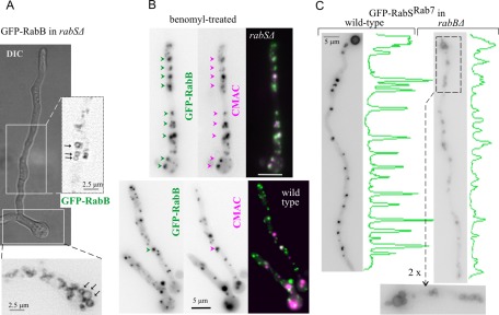 FIGURE 9: