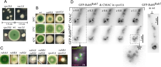 FIGURE 6: