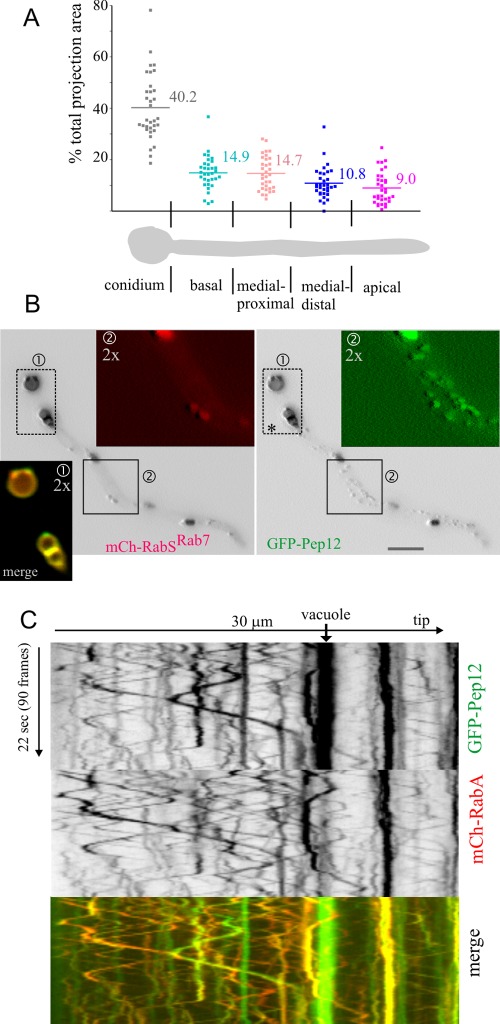 FIGURE 2: