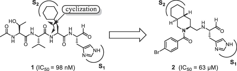 Fig. 1