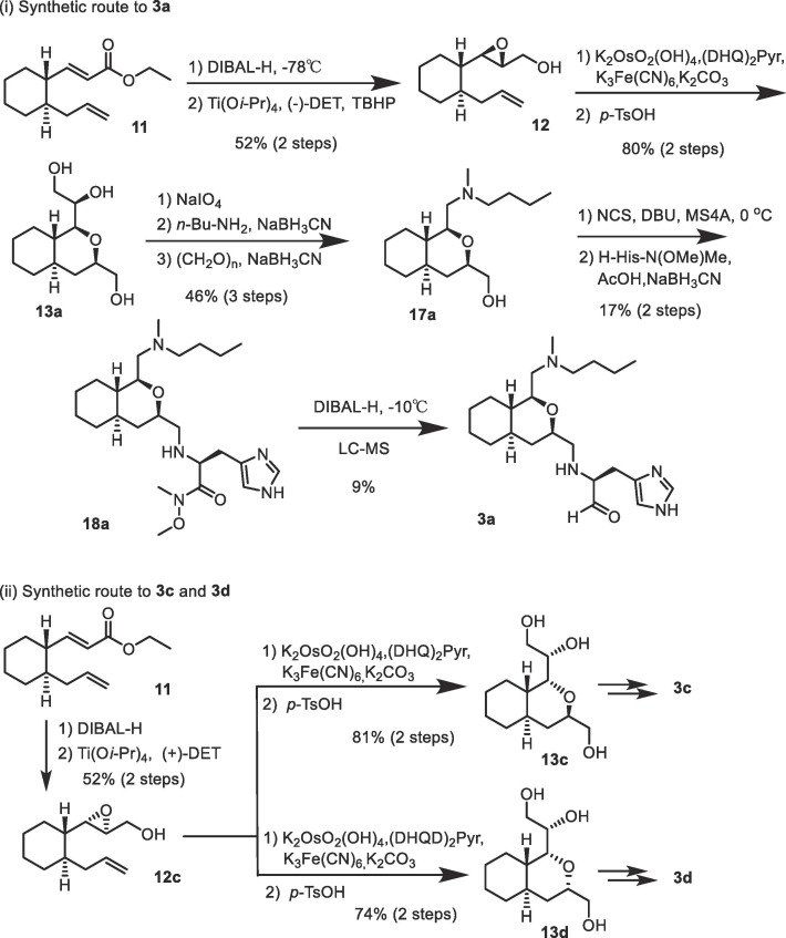 Scheme 4