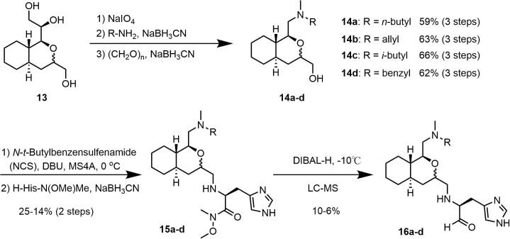 Scheme 3