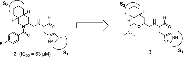 Fig. 2